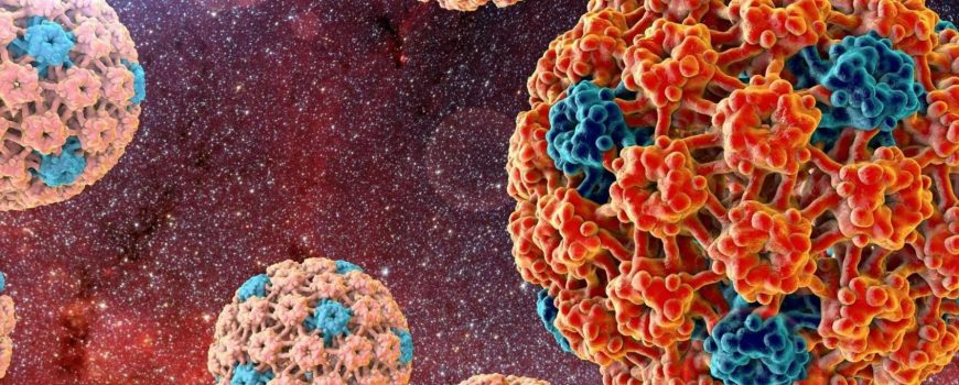 Вирус папилломы человека — какое лечение ВПЧ эффективно?