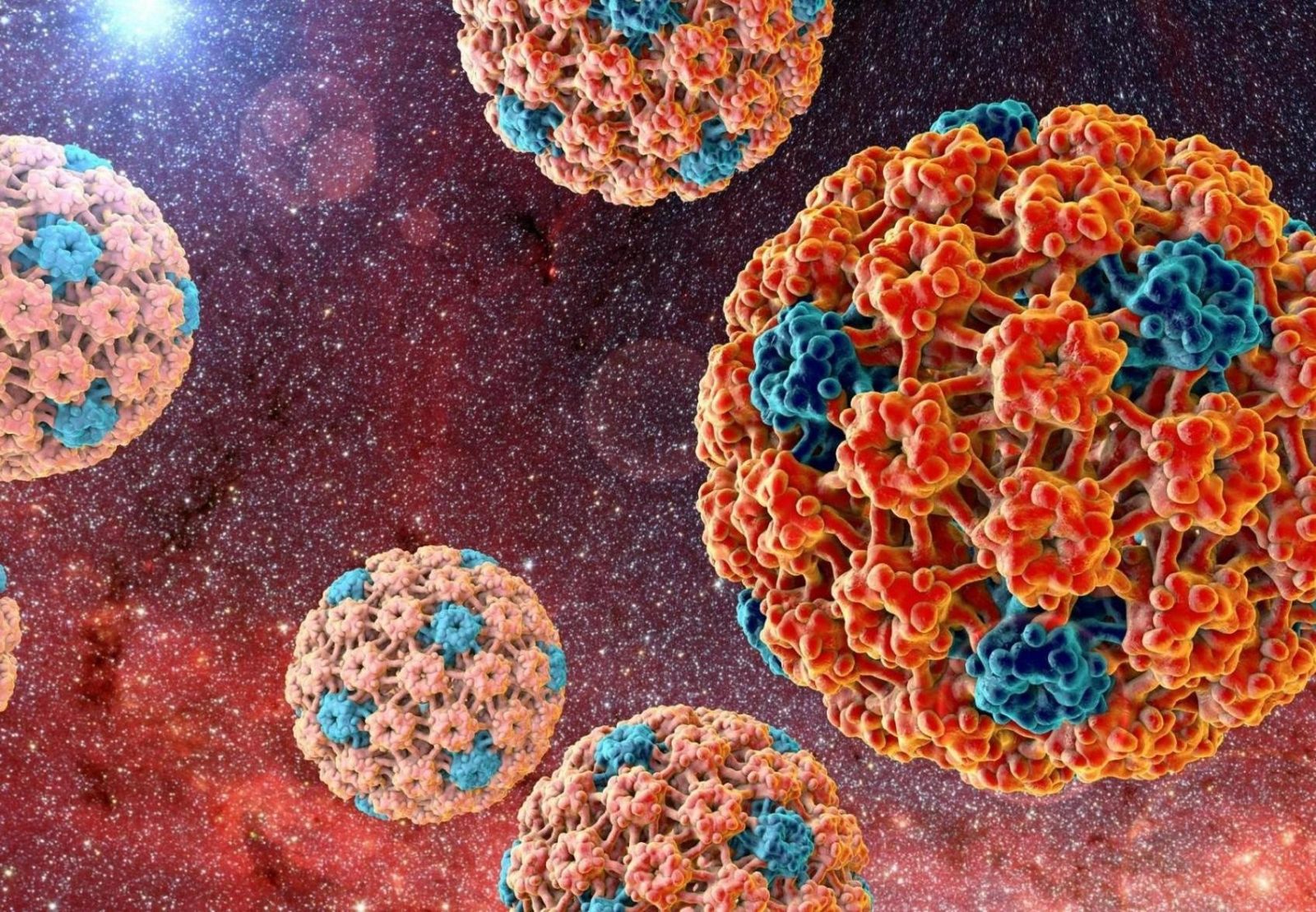 Вирус папилломы человека - какое лечение ВПЧ эффективно? 